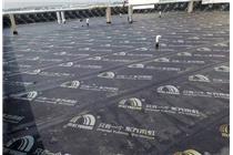 慶陽路 醫藥公司